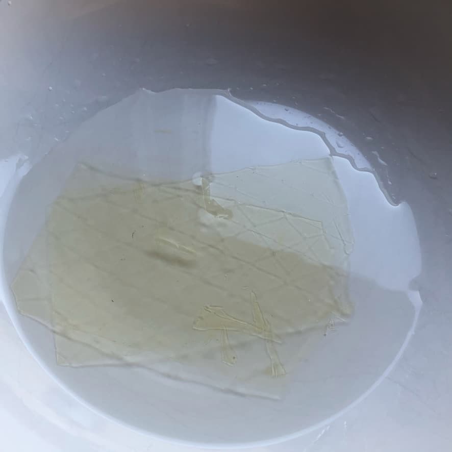 bloomed gelatine sheets still under water