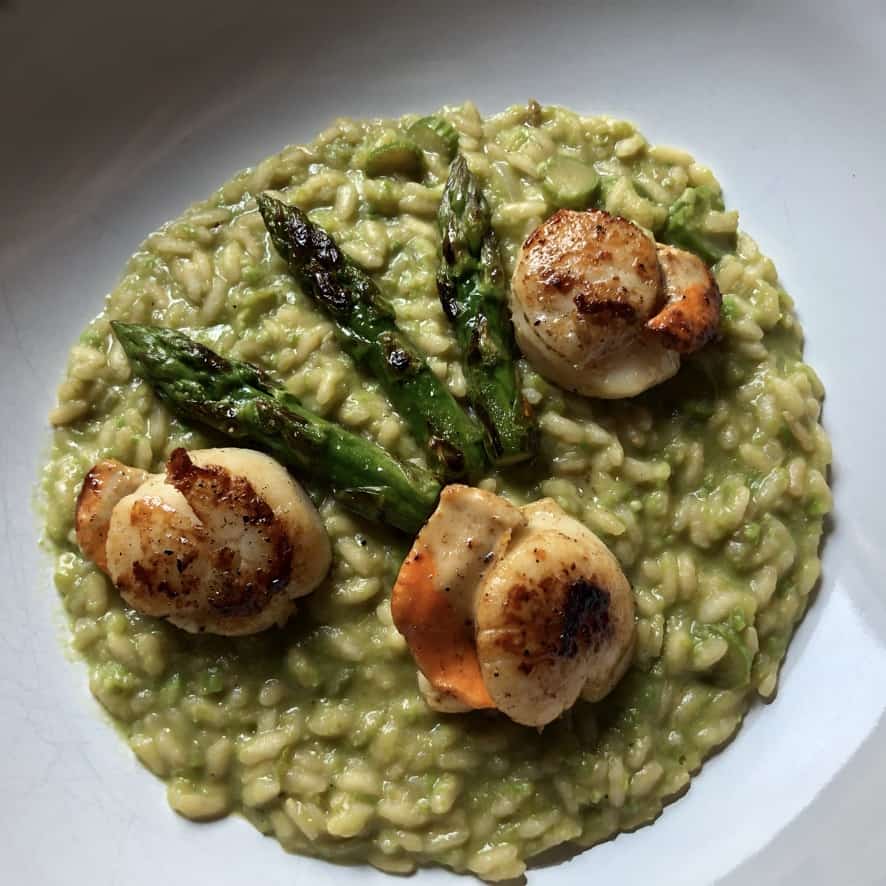 a pasta bowl plate filled with spring green asparagus risotto with three pan seared spears and three pan seared scallops on top