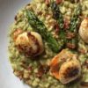 a pasta bowl plate filled with spring green asparagus risotto with three pan seared spears and three pan seared scallops on top with a sprinkling of crumbled crispy-fried prosciutto on top