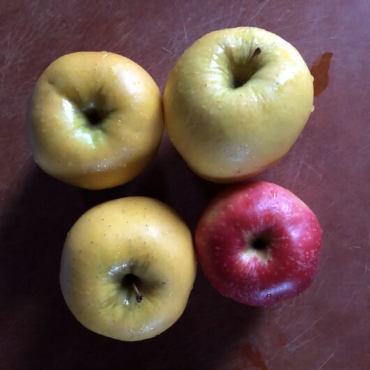 3 golden yellow apples and 1 red apple on a cutting board