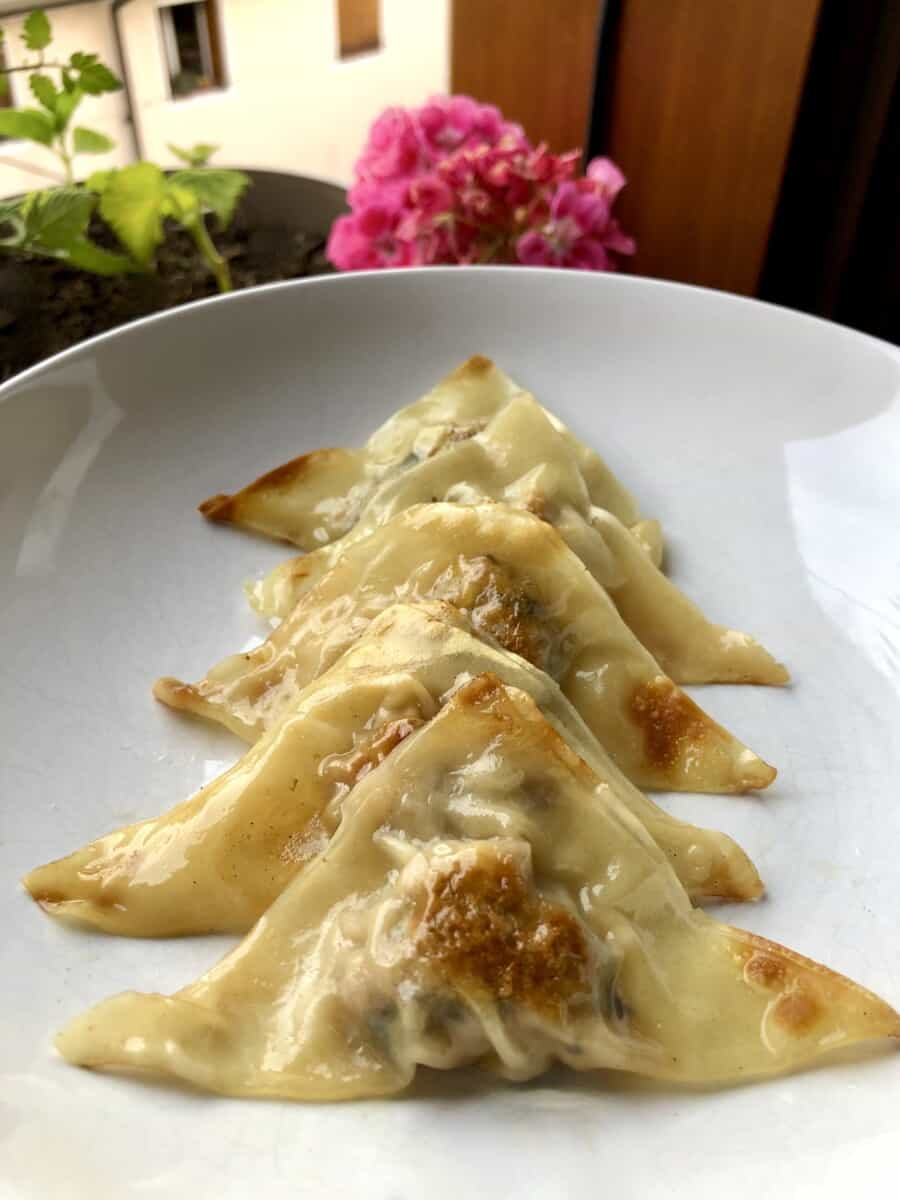 chinese potstickers layered in a row in a white ceramic dish with a bright pink flower in the background