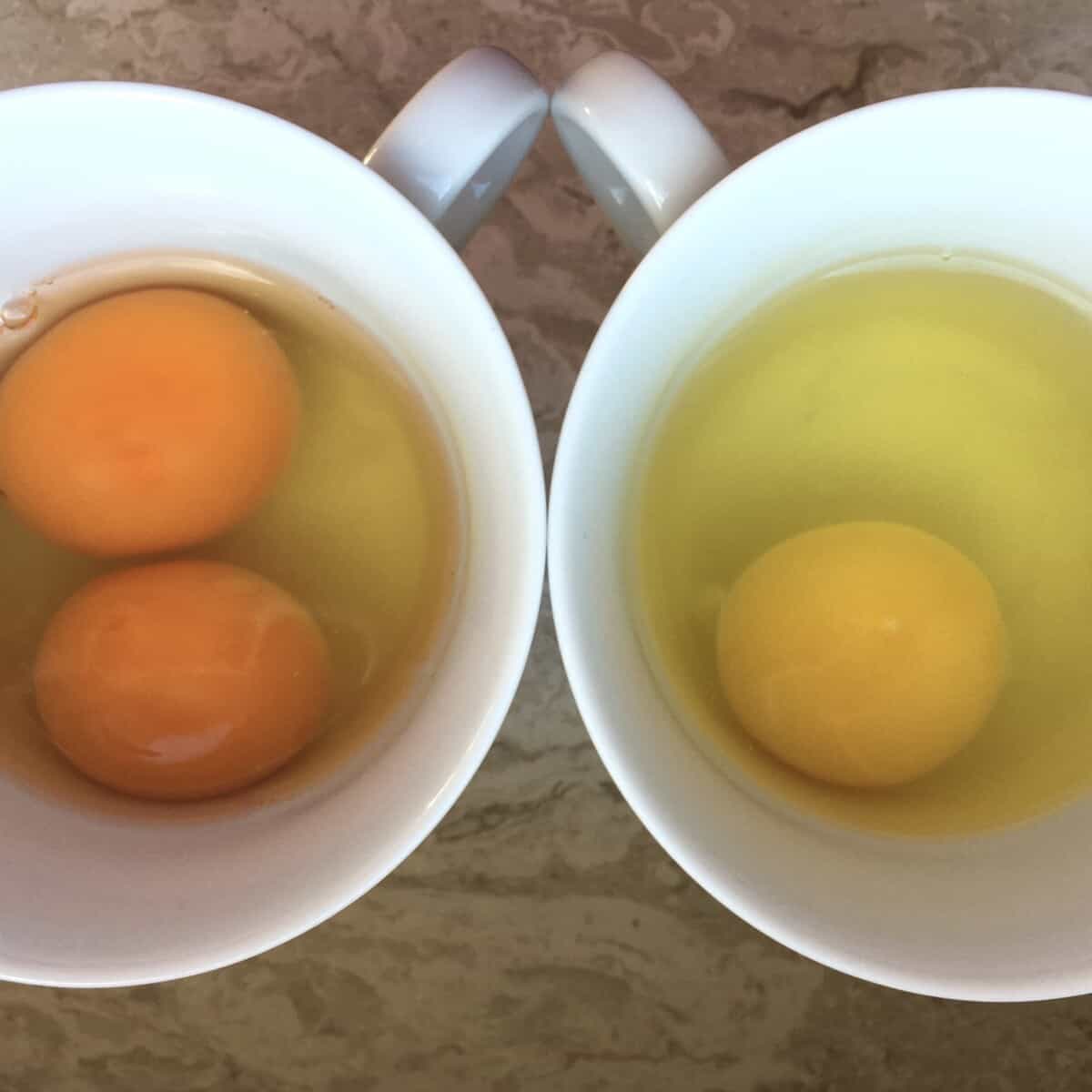 dark orange Italian pasta gialla eggs on the left and regular yellow eggs on the right