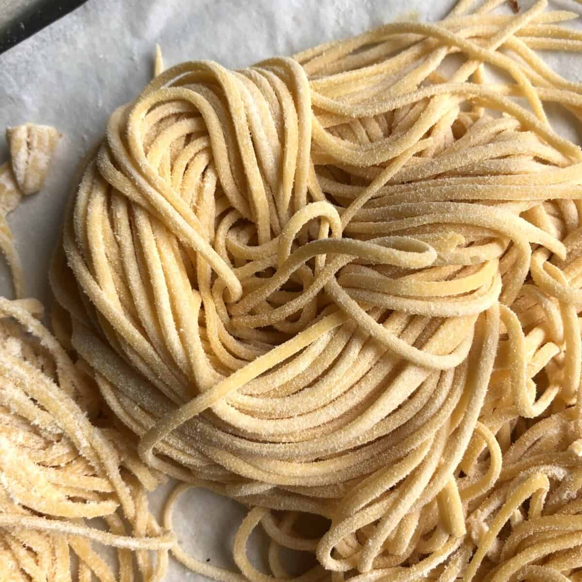 homemade pasta alla chitarra (square spaghetti Abruzzo, Italy