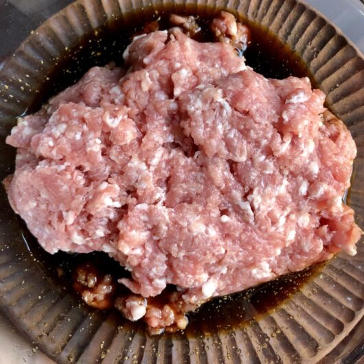 just ground fatty pork meat sitting in a bowl with Chinese money bag dumpling seasonings