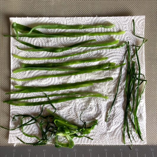 blanched scallions and chives that have been squeezed dry and are lying on a paper towel nice and orderly