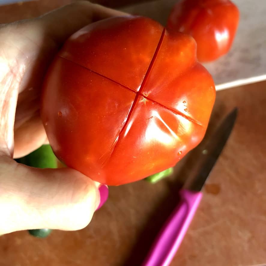 the bottom of the tomato scored