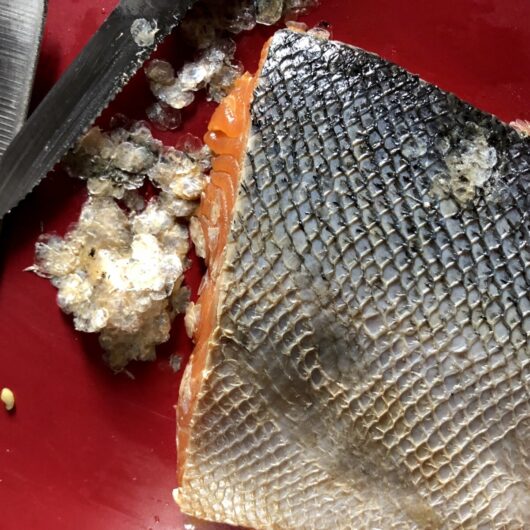 a salmon filet on a cutting board with the scales removed and in a pile next to the serrated paring knife