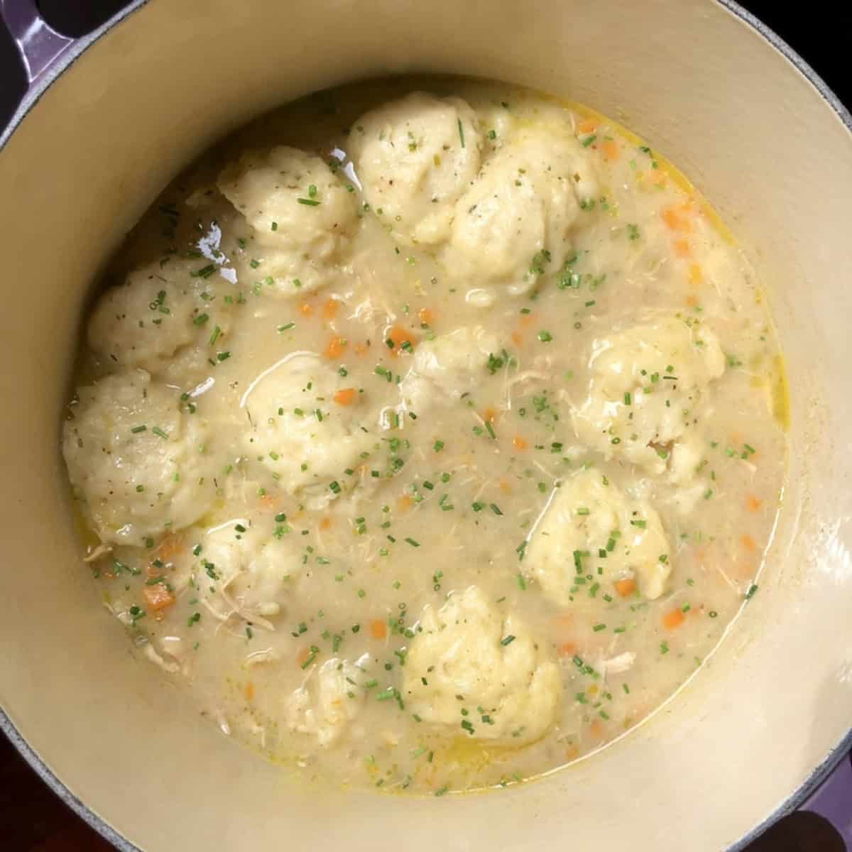 A Le Creuset pot of finished chicken and dumplings soup with fluffy drop dumplings and chopped parsley.