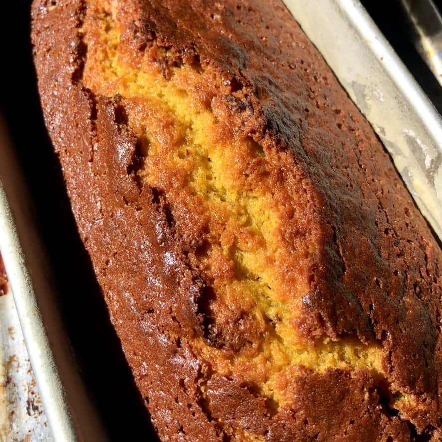 just baked golden brown pumpkin bread with a bakery style crevice through the middle