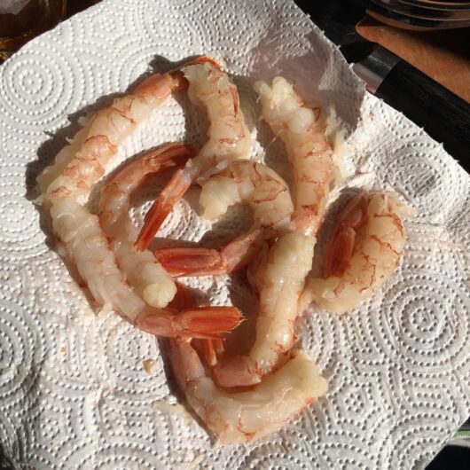red argentinian shrimp shelled, deveined, and patted dry