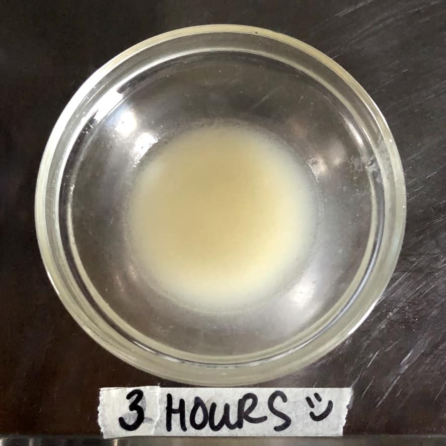 Tonkotsu broth at 3 hours of cooking showing the cloudier appearance and not fat suspended on the top save maybe some minuscule ones around the rim of the bowl and it's more opaque than at 2 hours of cooking.