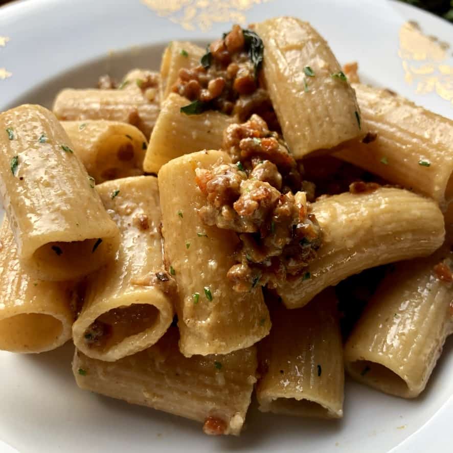 lightly creamy rigatoni pasta with sausage