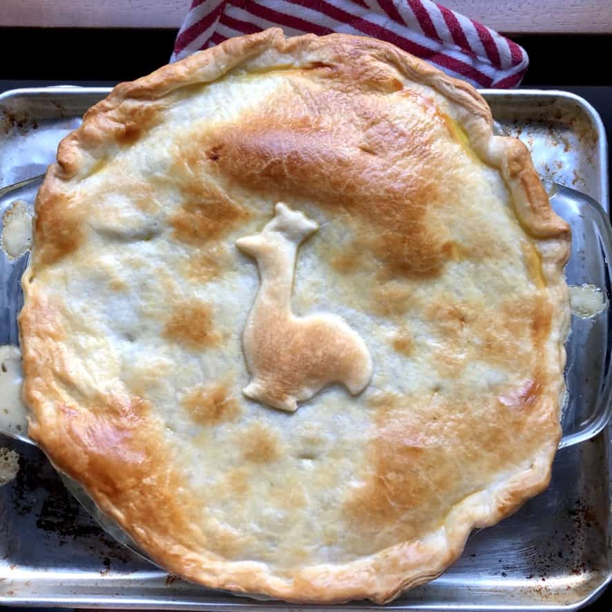 Golden Brown just baked turkey pot pie with an extra piece of dough cut out with a chicken cookie cutter and placed on top in the middle before being baked.