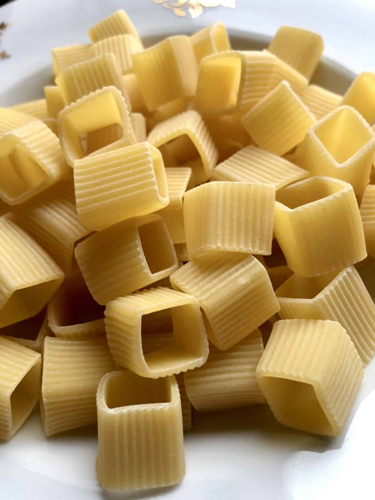 dry artisanal soqquadro gold-drawn Verrigni artisanal pasta closeup in a bowl