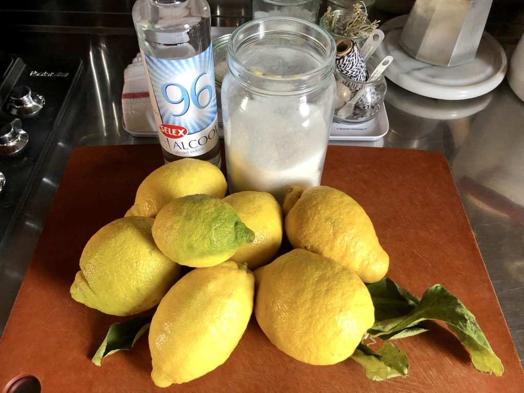 Homemade limoncello ingredients on a cutting board