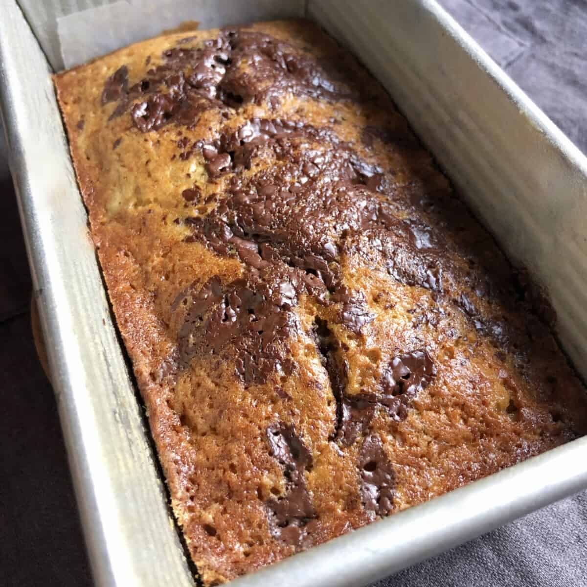 Golden brown dark chocolate covered banana bread after just baking in a loaf pan
