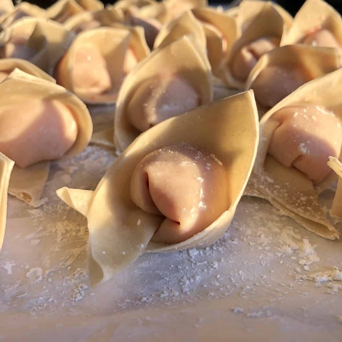 filled wontons ready to be boiled or frozen