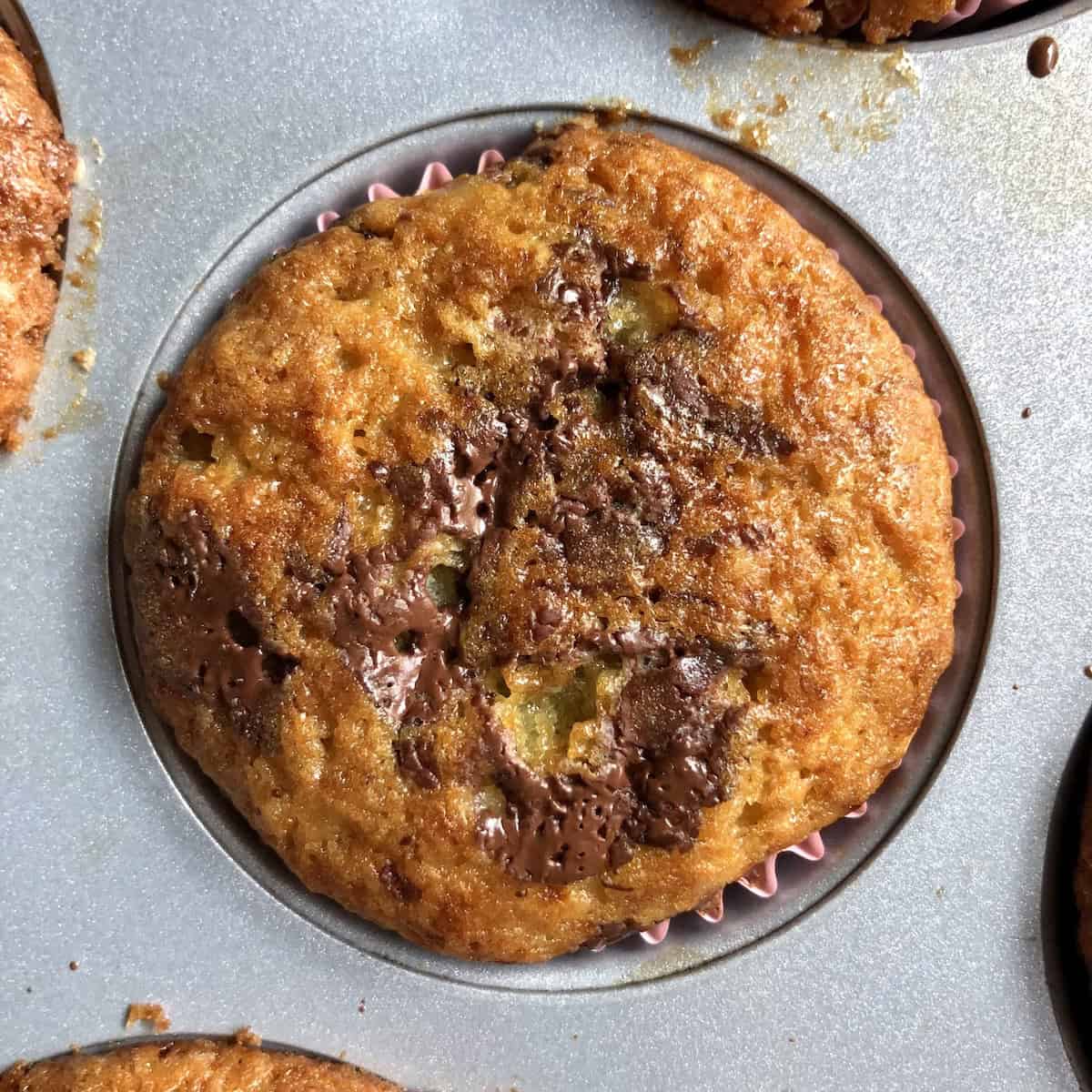 Closeup of a just baked chocolate chip banana bread muffin with pools of dark premium chocolate on top ready to eat.