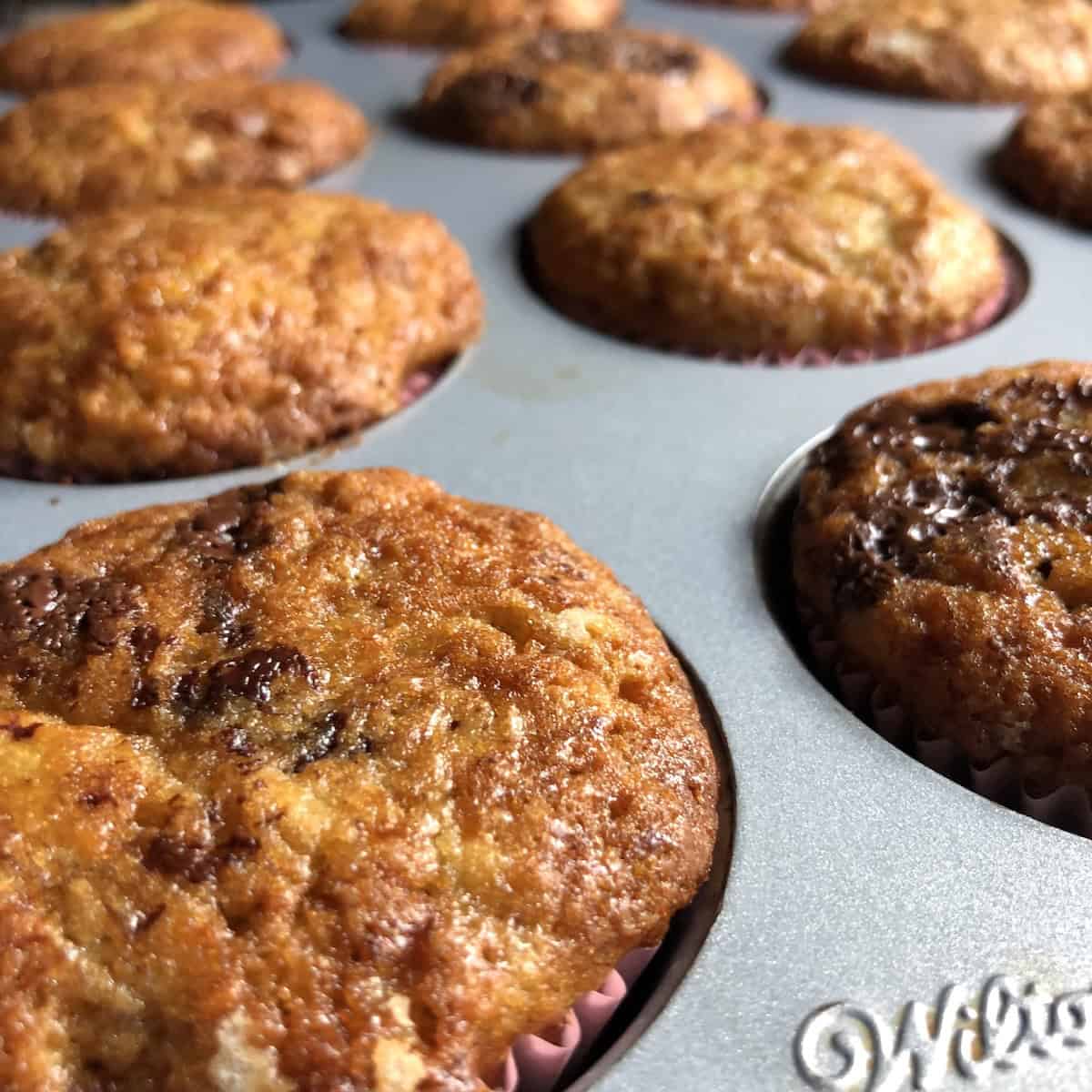 Golden brown banana bread muffins with chocolate chunks throughout just baked in a pink cupcake paper lined muffin tin from scratch.