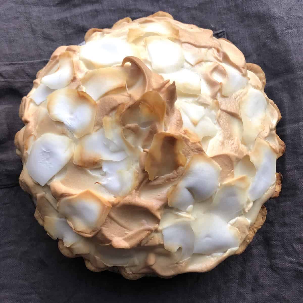 A whole coconut cream pie with coconut milk topped with meringue and large slivers of fresh coconut that's been toasted.