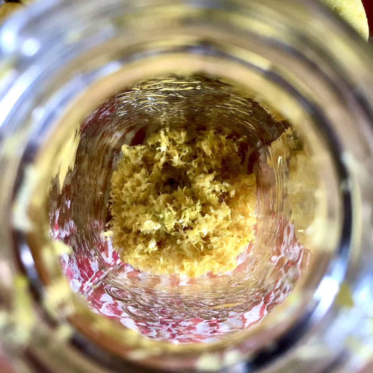 Top down view of fresh lemon zest added to a jar with zested lemons in the background, how to make lemoncello starting with peeled lemon zest and no pith
