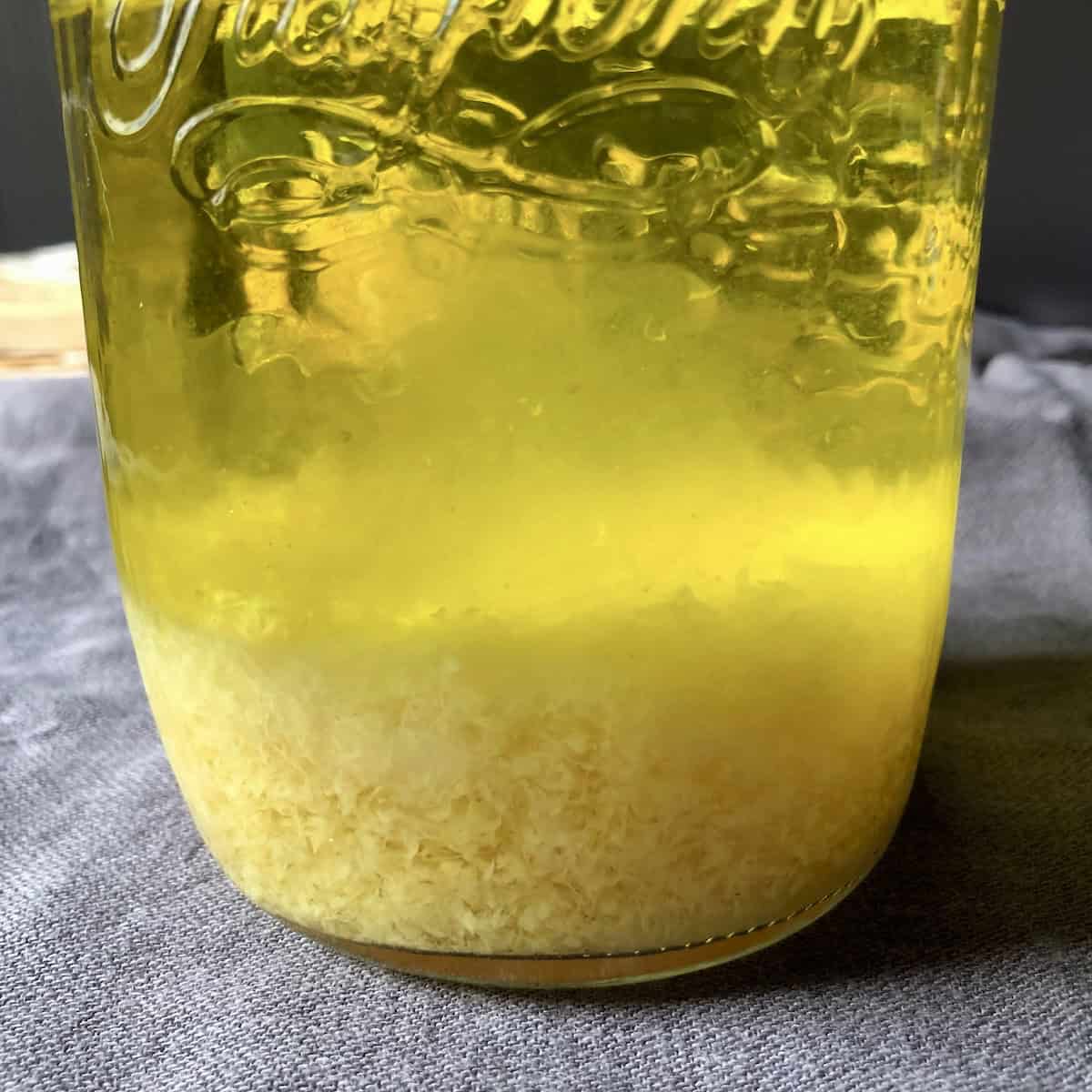 Alcohol and lemon zest and peels after steeping two days already looking milky with a bright yellow color, what is limoncello and how the lemon oils infuse into the alcohol when making limoncello.
