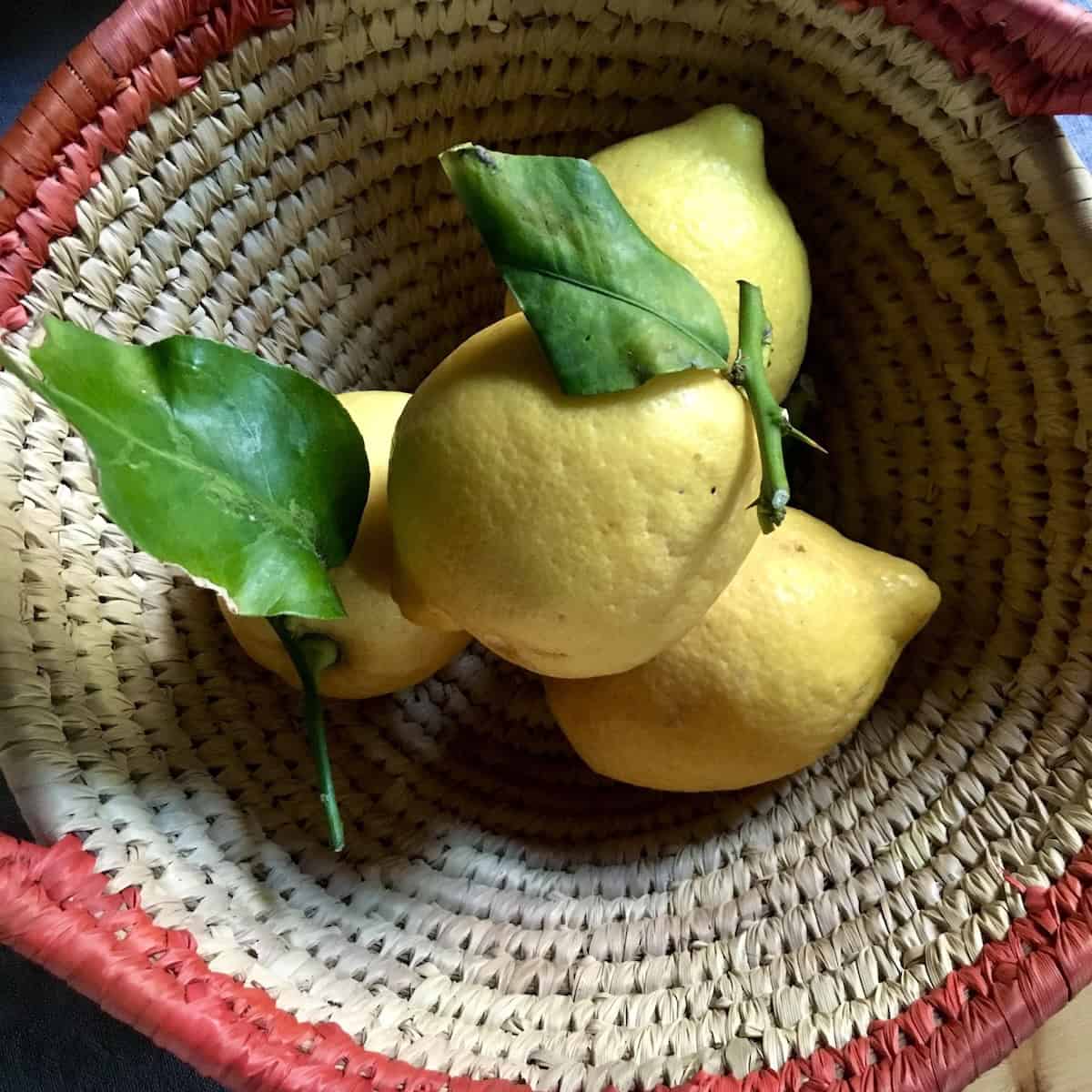 A basket full of Italian lemons with leaves intact for making homemade limoncello, limoncello ingredients starting with fresh unwaxed lemons for the best limoncello recipe.
