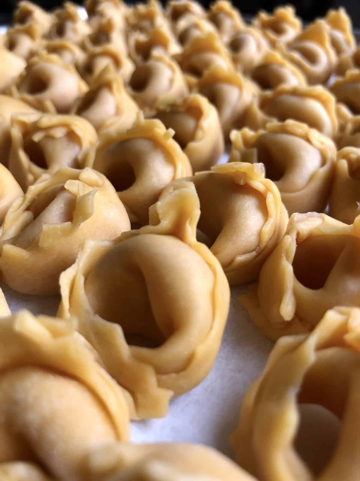 Homemade tortellini on a tray waiting to be cooked or frozen.