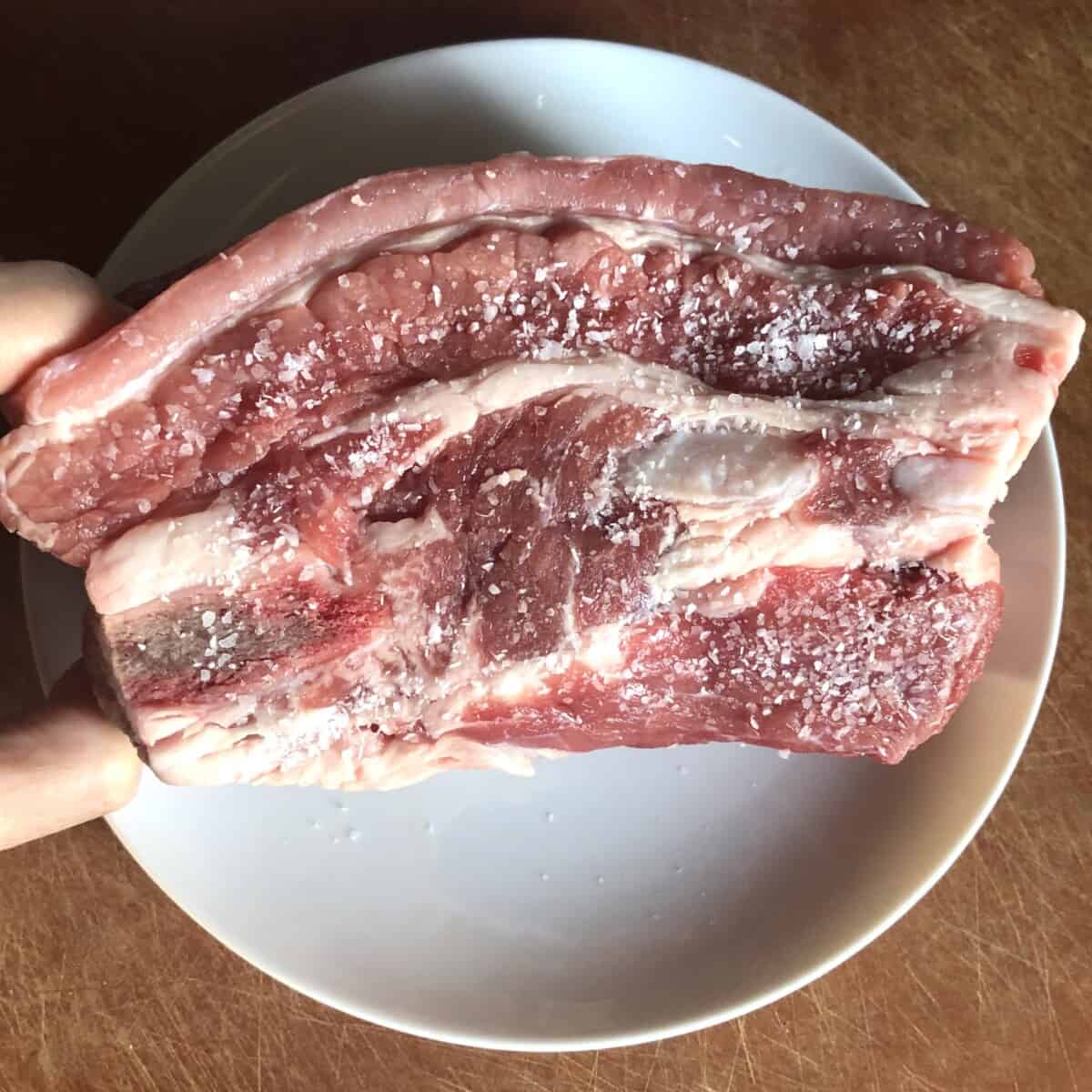 Beef short rib that's been sprinkled with kosher salt and black pepper