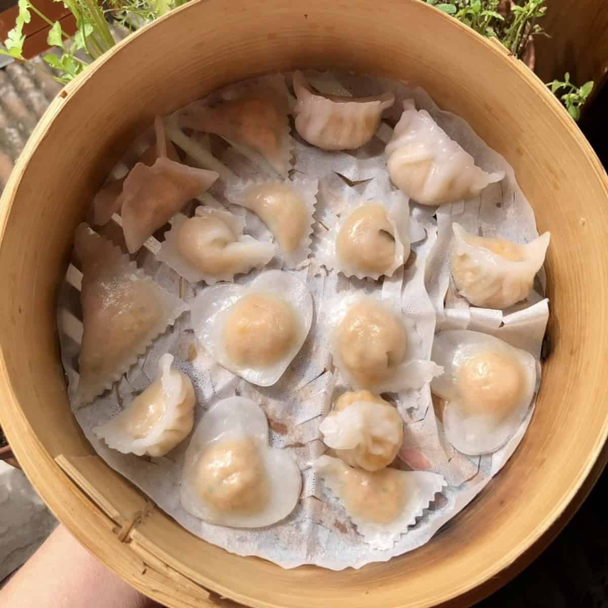 Perfectly steamed har gow cooked from frozen with no difference in quality, translucent wrappers and pink shrimp visible.
