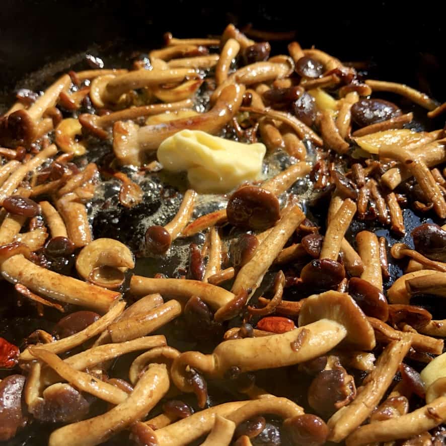 a cast iron skillet full of golden brown sautéed pioppini black poplar mushrooms with a pat of butter and just added