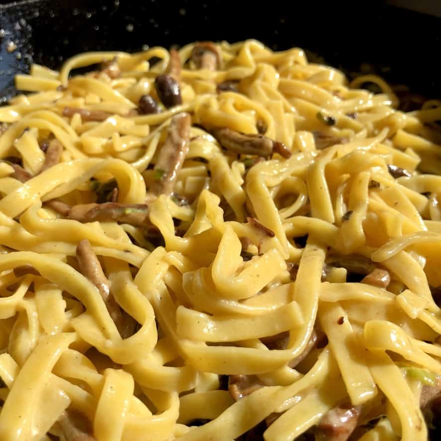 a cast iron skillet filled with lightly creamy mushroom pasta glistening from the sauce