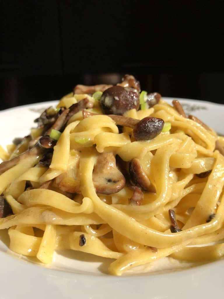 a pasta bowl filled with lightly creamy mushroom pasta glistening from the sauce