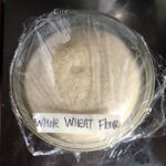 whole wheat pizza dough covered with recyclable cling film after doubling in size.