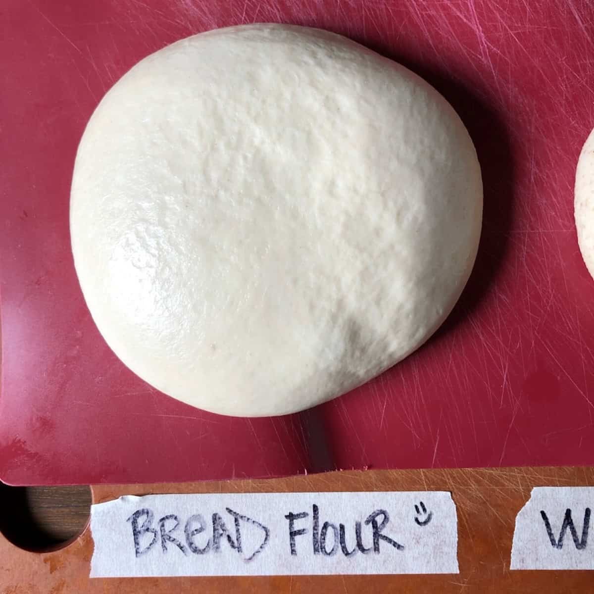 Perfectly risen bread flour pizza dough ball after its second rise ready to shape into a fluffy pizza crust, soft pizza dough recipe using pizza dough with bread flour for a light airy homemade crust.
