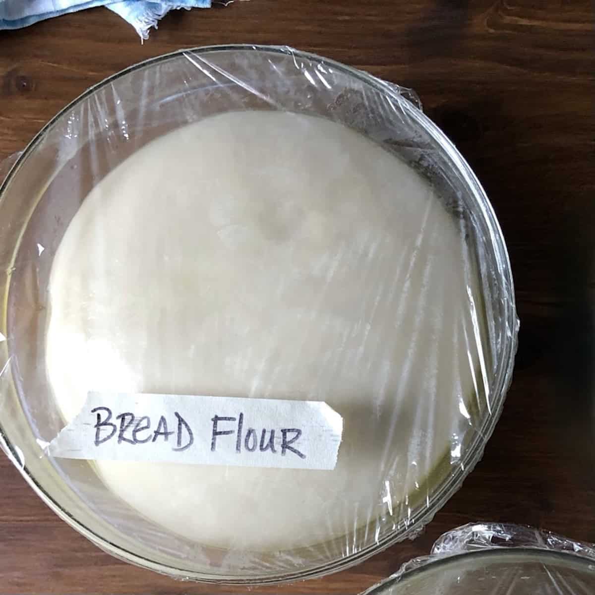 Perfectly risen homemade pizza dough doubled in size in a bowl labeled bread flour after the first rise, easy pizza dough recipe ready to punch down for pizza dough with bread flour.
