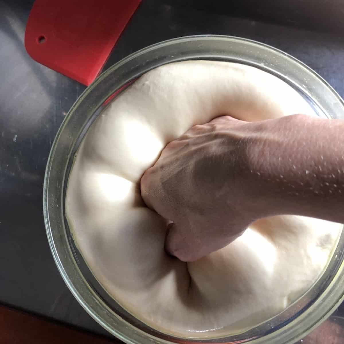 Hand punching down risen pizza dough with bread flour to begin portioning dough balls, ingredients for pizza dough recipe from scratch for the best homemade pizza dough.
