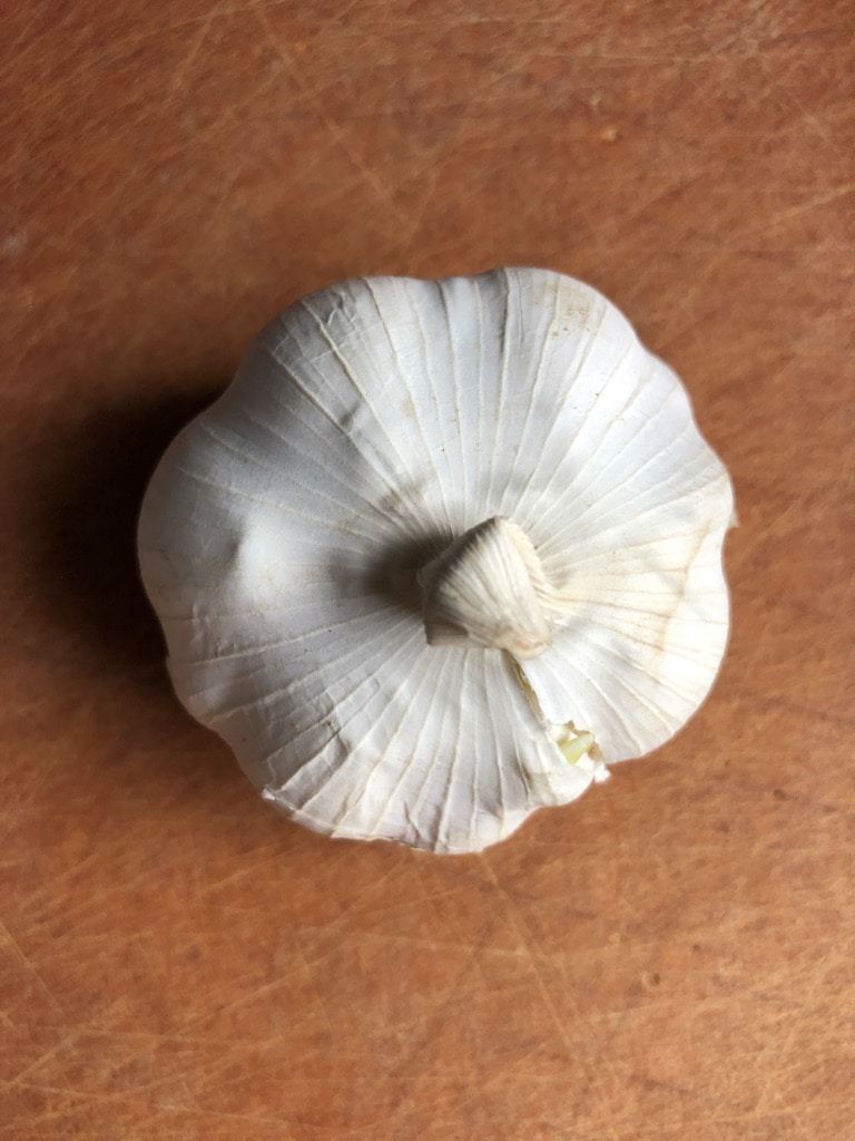 Whole head of garlic.