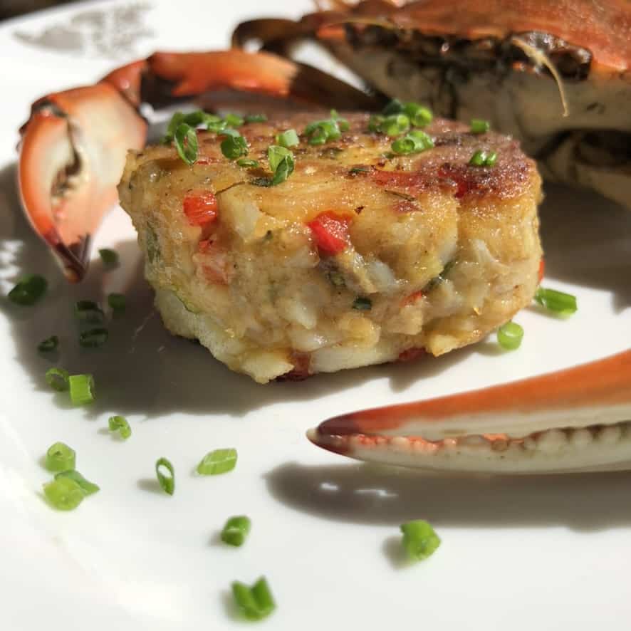 Maryland blue crab cake topped with chopped chives with a cooked whole blue crab encircling it.