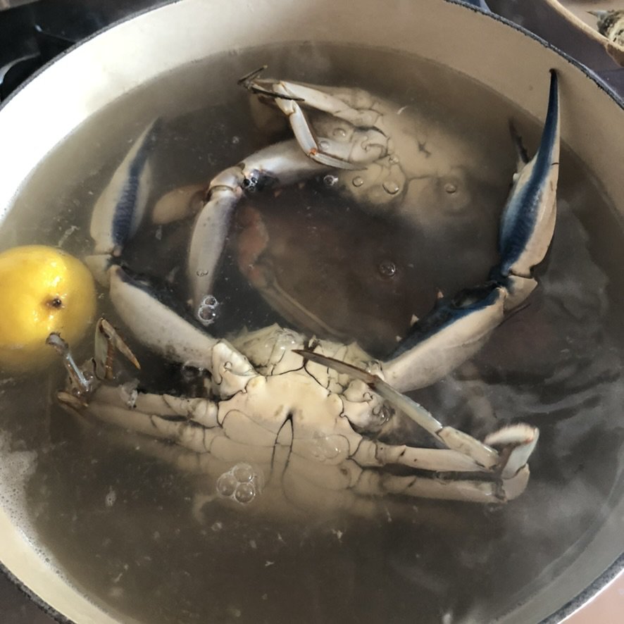 boiling whole blue crabs.