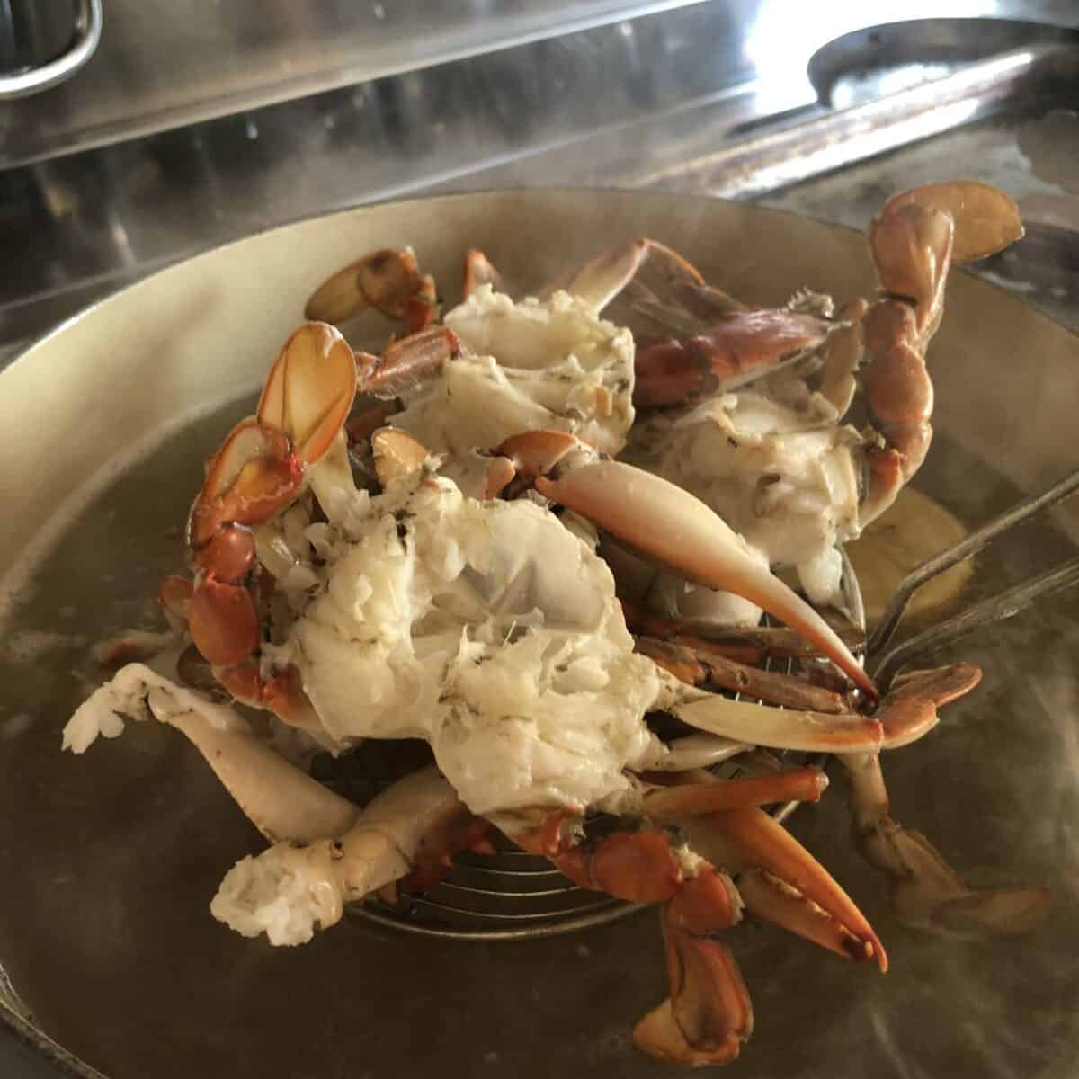 Removing the cooked blue crabs from the crab boil water.