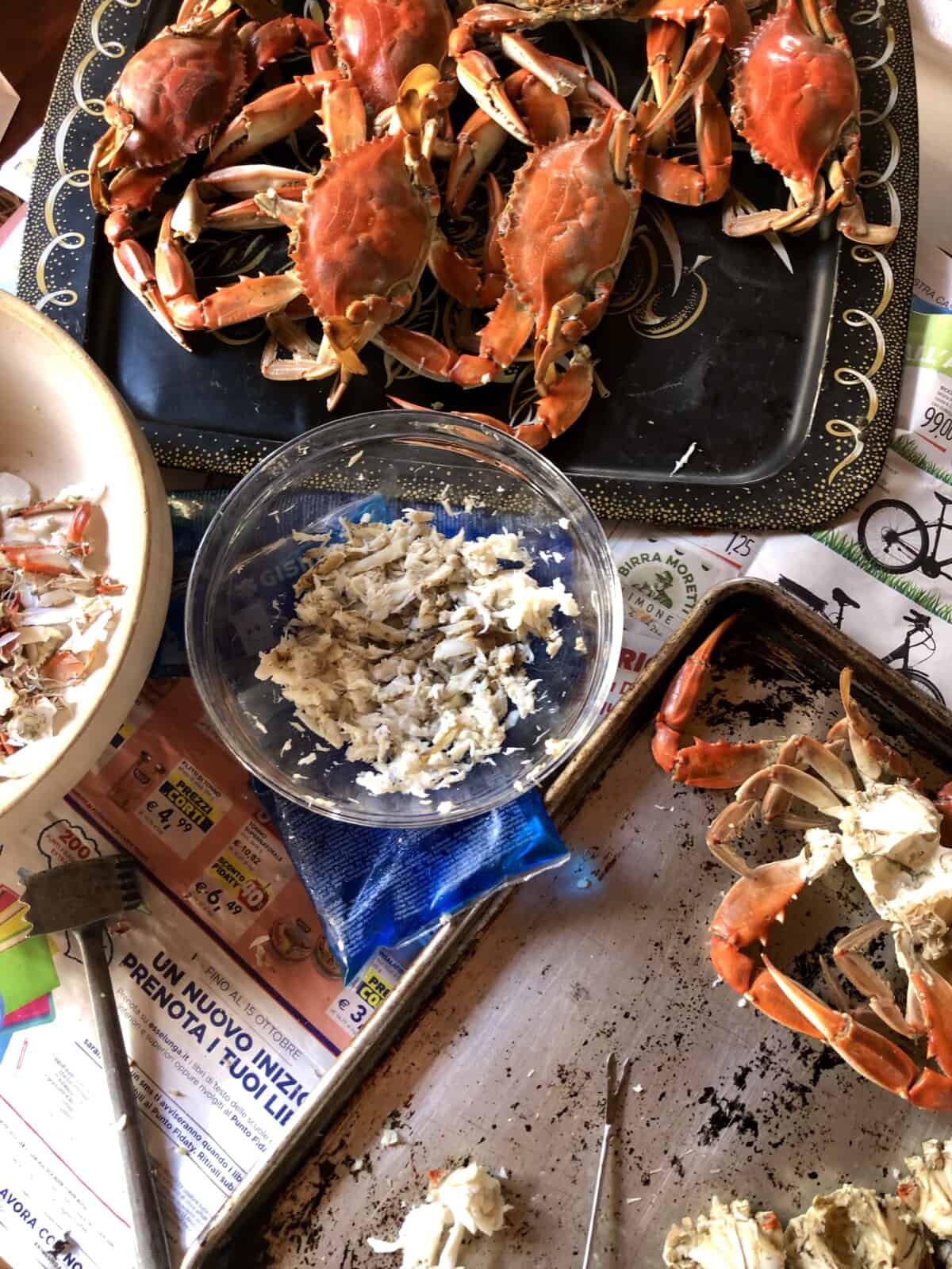 A table with sheet tray containing whole boiled crabs, a bowl with shells in it, another bowl on top of frozen gel packs to hold picked crab meat and keep it cold, a sheet tray with crabs that were cleaned before being cooked, a meat mallet, and a fondue fork (crab fork) all on top of newspaper.