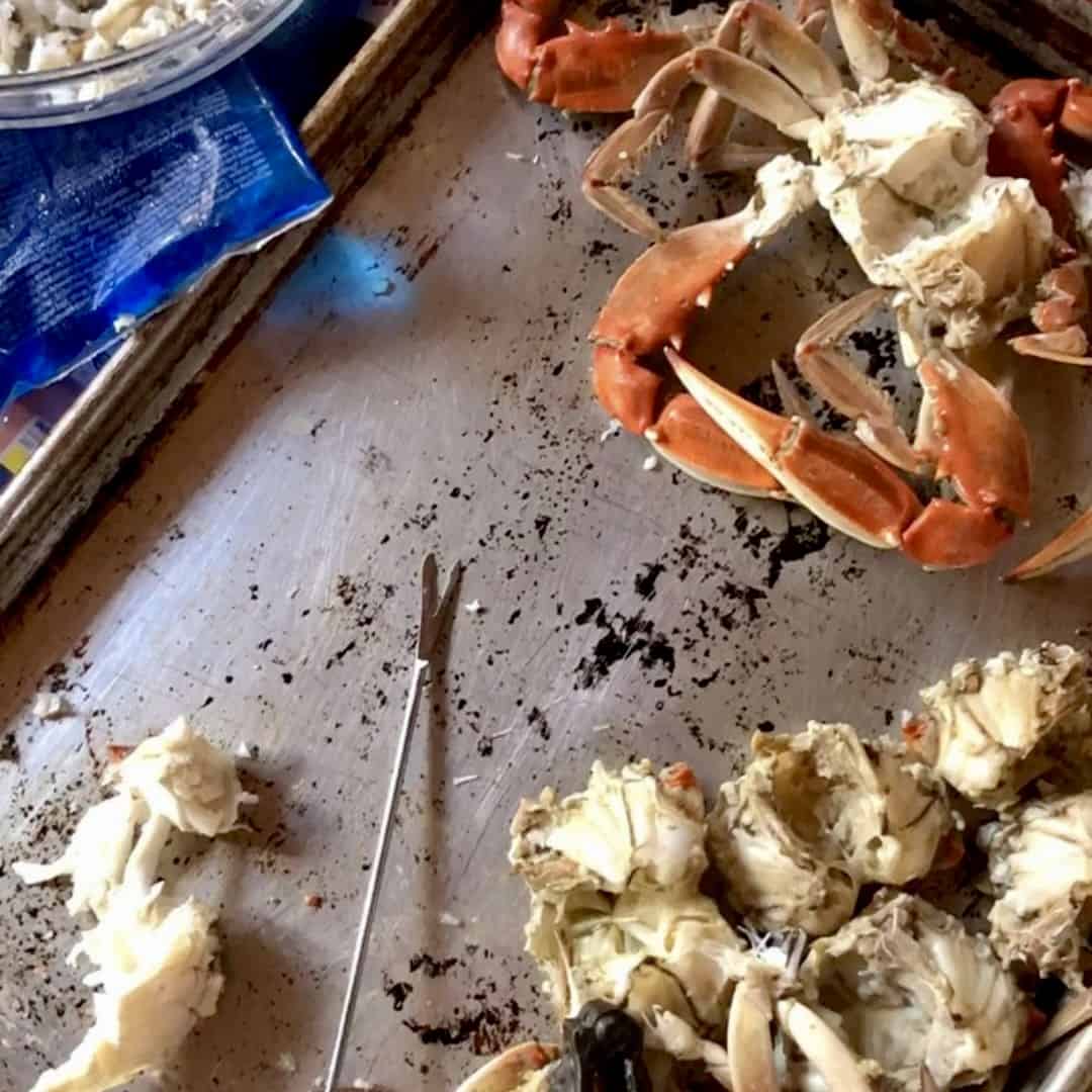 Using a fondue fork as a DIY crab fork substitute to pick the most meat out of crabs.