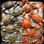 A side by side photo of raw blue Italian crabs on the left and bright orange cooked Italian crabs on the right.