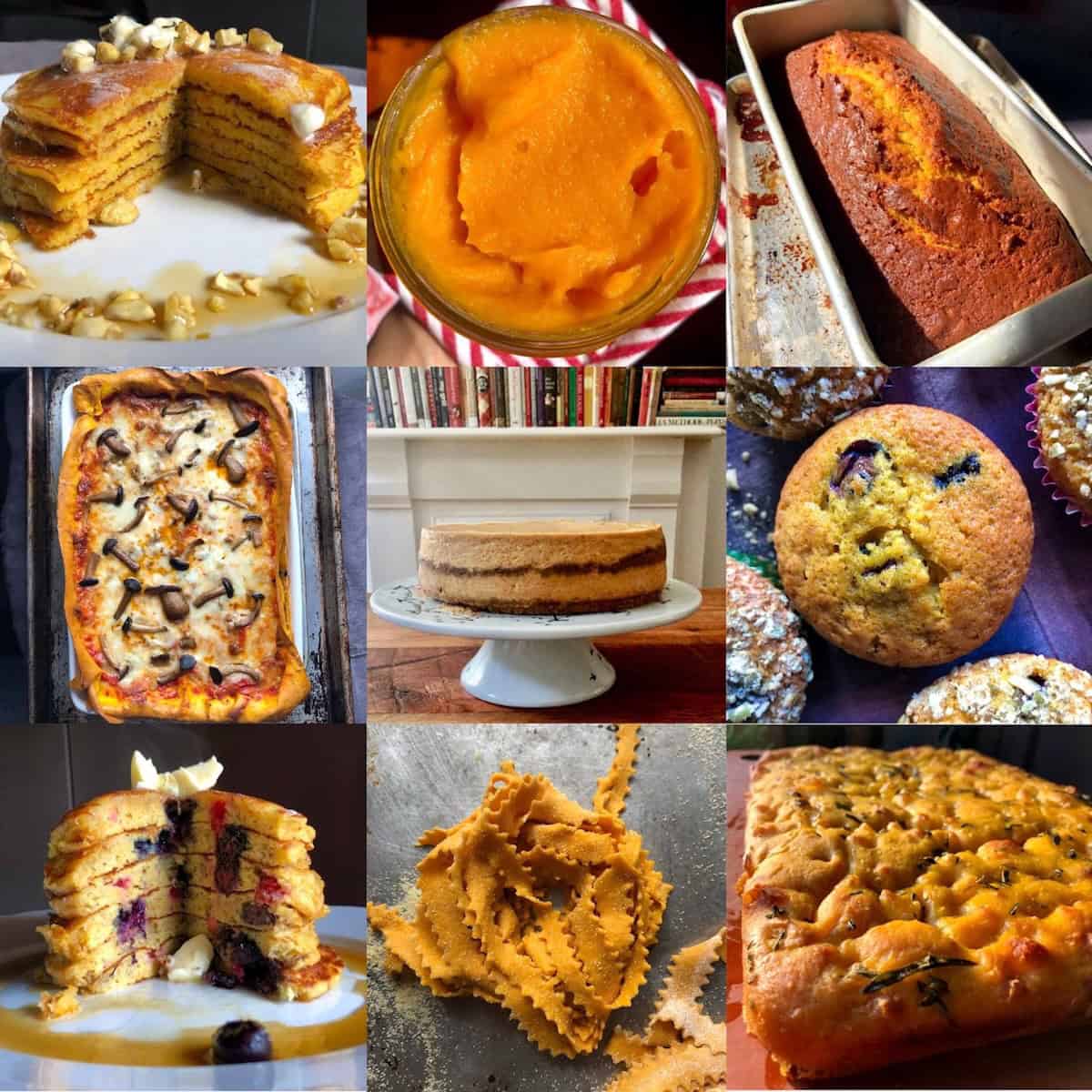 A 9-photo collage of Biting at the Bit's best pumpkin recipes roundup including savory pumpkin recipes and sweet pumpkin desserts and pumpkin drink recipes.