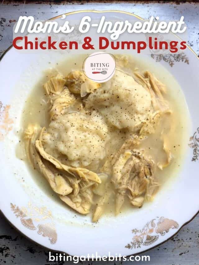 Bit Dumpling Mom's 6-Ingredient Chicken & Dumplings (100% Homemade) - Biting at the Bits