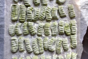 fresh spinach gnocchi just rolled and ridges added using the tines of a fork all on a semolina flour-dusted parchment-lined baking tray.