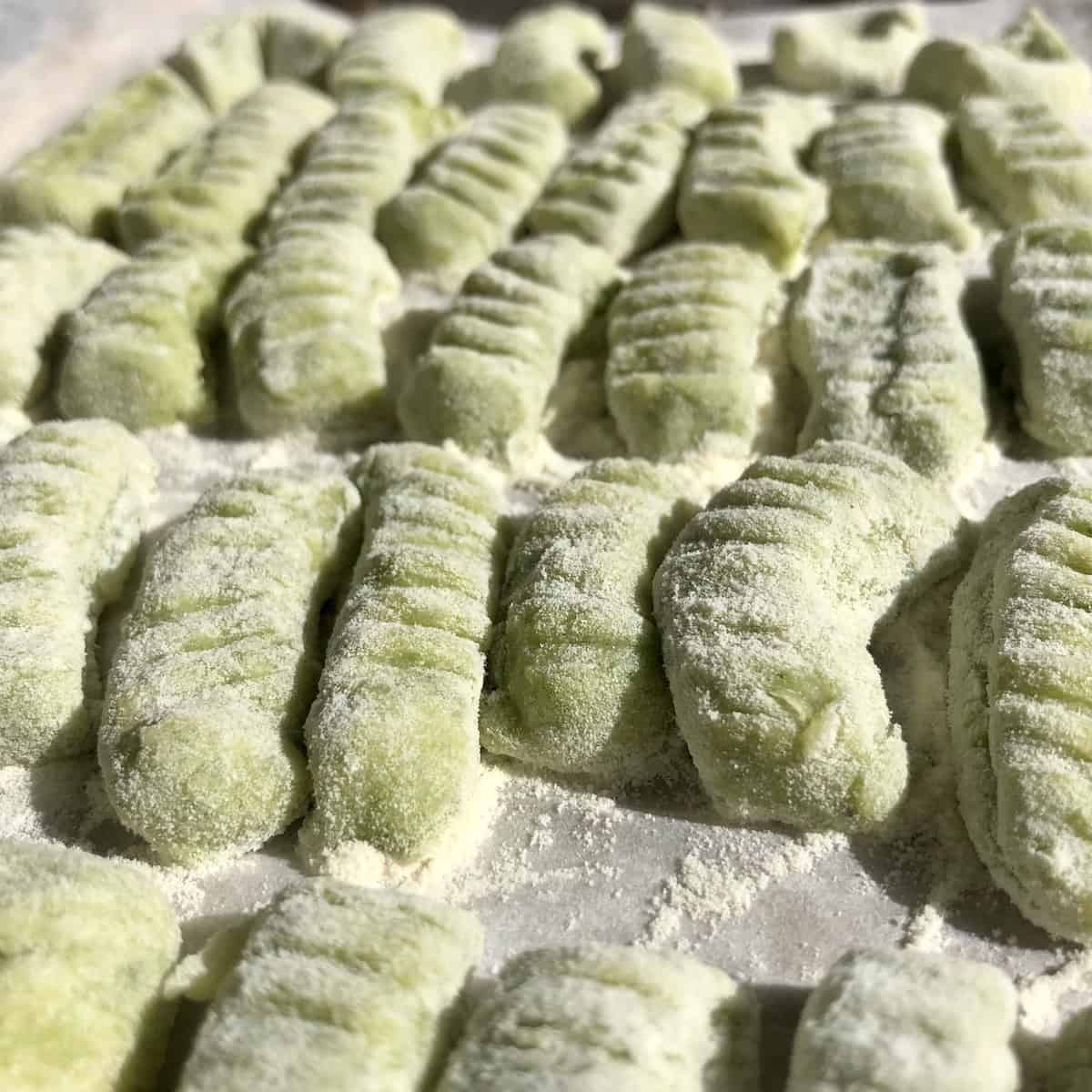 Up close spinach gnocchi on a floured sheet tray with none touching and ready to cook, easy gnocchi recipe with ridged homemade gnocchi.
