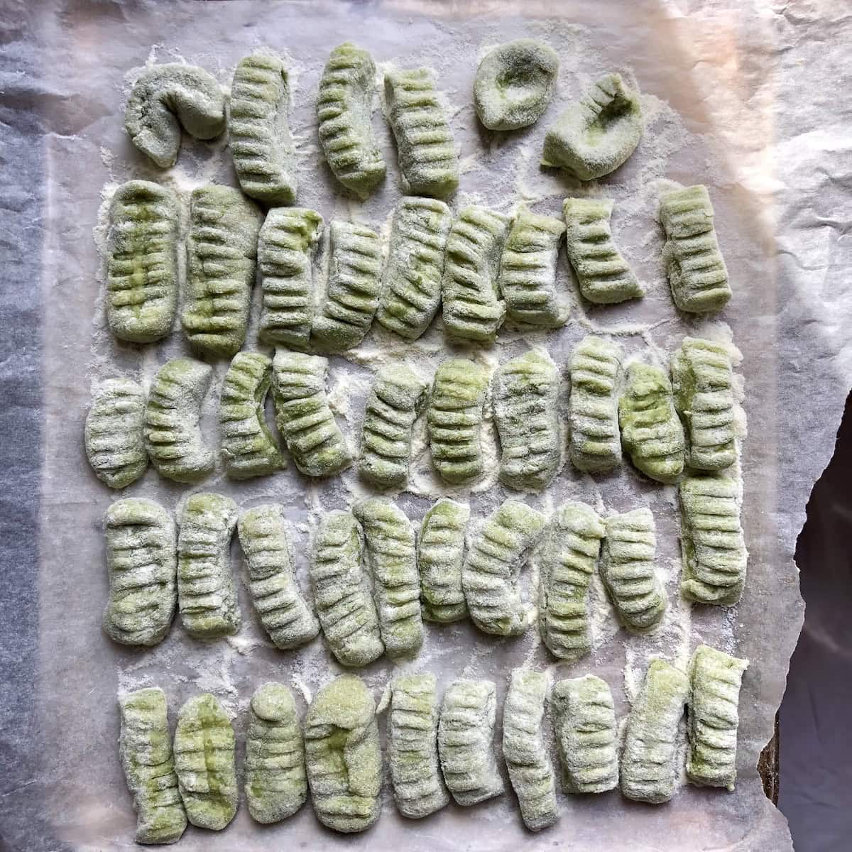 A tray full of homemade spinach gnocchi with fork ridges on each one to hold extra sauce, spinach gnocchi ready to boil.