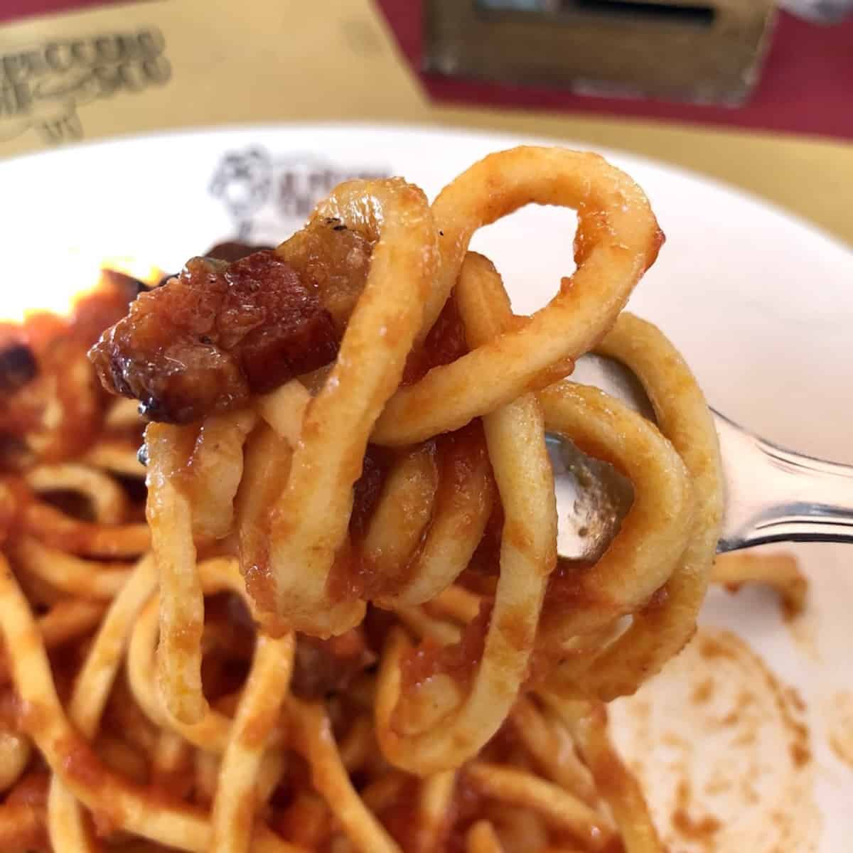 A forkful of thick square-cut tonnarelli chitarra pasta coated in spicy amatriciana sauce with crispy guanciale from a restaurant in Chieti Scalo Abruzzo, spaghetti alla chitarra served as maccheroni alla chitarra.
